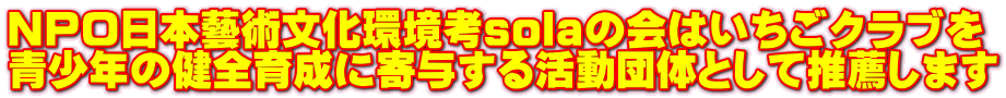 NPO日本藝術文化環境考solaの会はいちごクラブを 青少年の健全育成に寄与する活動団体として推薦します